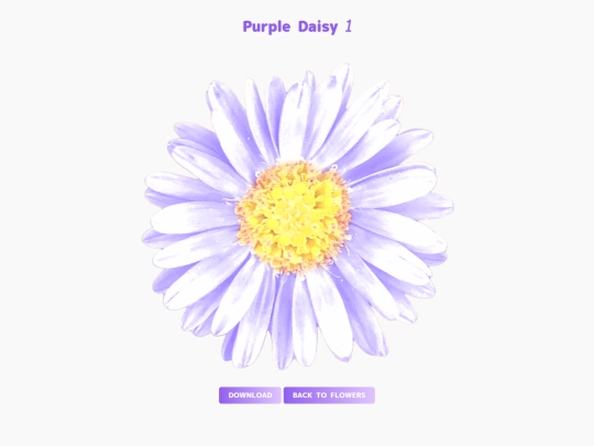 freebies/stock_images/images/purpledaisy1 screenshot