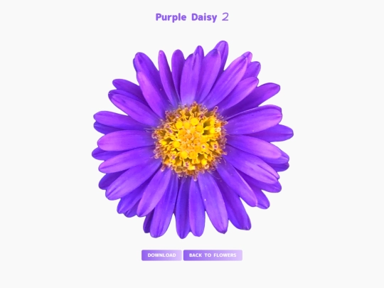 freebies/stock_images/images/purpledaisy2 screenshot