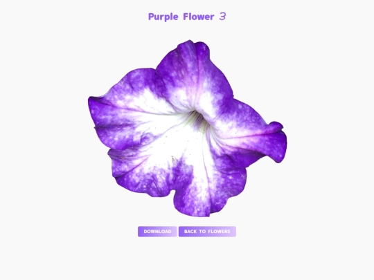 freebies/stock_images/images/purpleflower3 screenshot