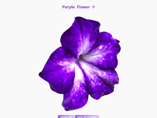 freebies/stock_images/images/purpleflower4 screenshot