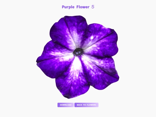 freebies/stock_images/images/purpleflower5 screenshot