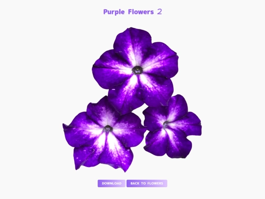 freebies/stock_images/images/purpleflowers2 screenshot