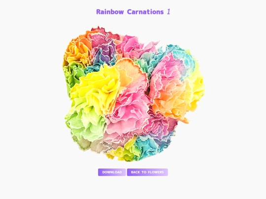 freebies/stock_images/images/rainbowcarnations1 screenshot