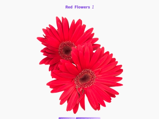 freebies/stock_images/images/redflowers1 screenshot