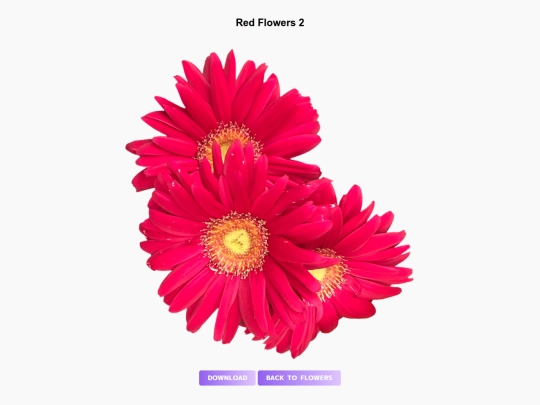 freebies/stock_images/images/redflowers2 screenshot