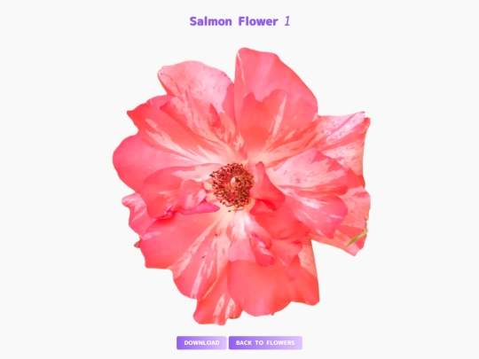 freebies/stock_images/images/salmonflower1 screenshot