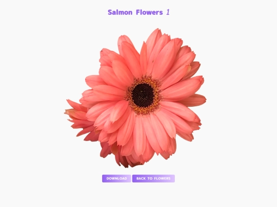 freebies/stock_images/images/salmonflowers1 screenshot