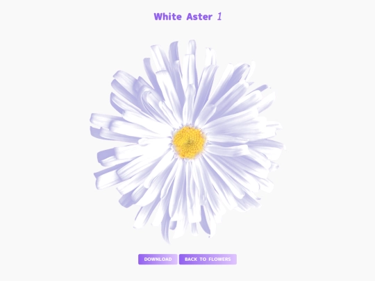 freebies/stock_images/images/whiteaster1 screenshot