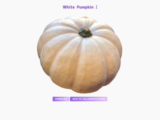 freebies/stock_images/images/whitepumpkin1 screenshot