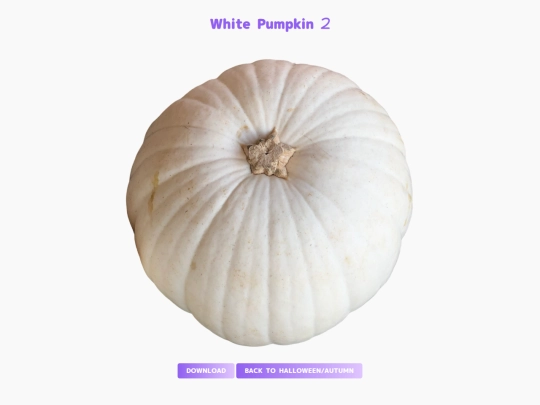 freebies/stock_images/images/whitepumpkin2 screenshot