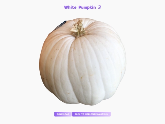 freebies/stock_images/images/whitepumpkin3 screenshot