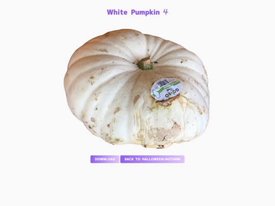 freebies/stock_images/images/whitepumpkin4 screenshot