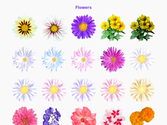 freebies/stock_images/sections/flowers screenshot