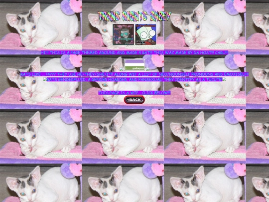 rat screenshot