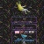 Vaporwave Seas and Neon Dreams avatar