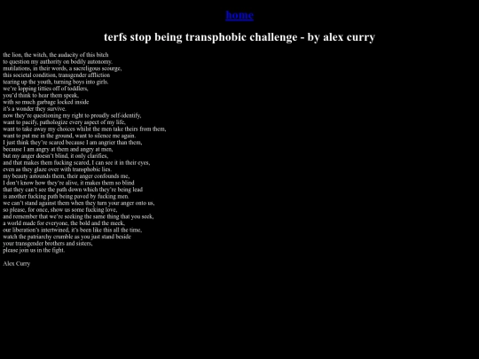 pages/terfs-challenge screenshot