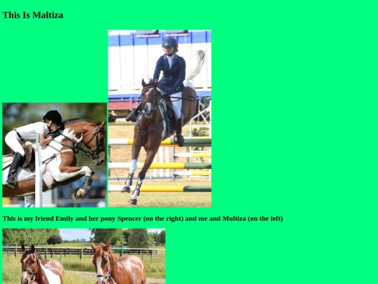 multiza screenshot