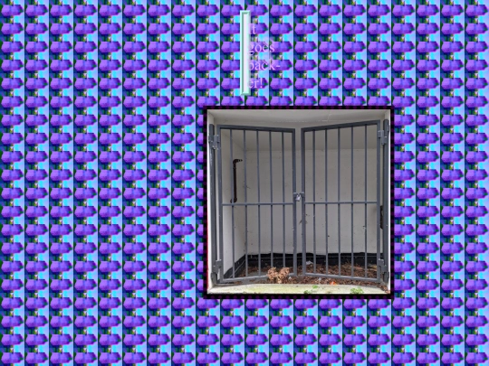 furtherbackdoor screenshot