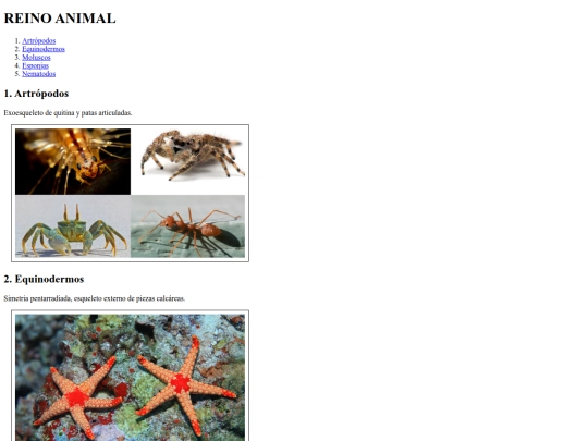 Clase08 screenshot