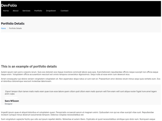 portfolio-details screenshot
