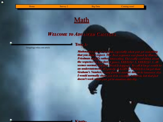 Research Project/survey1 screenshot