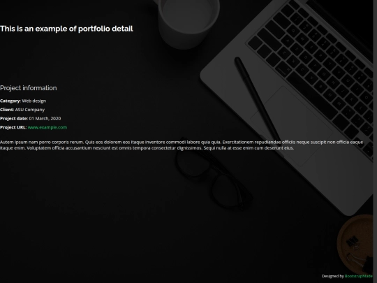portfolio-details screenshot