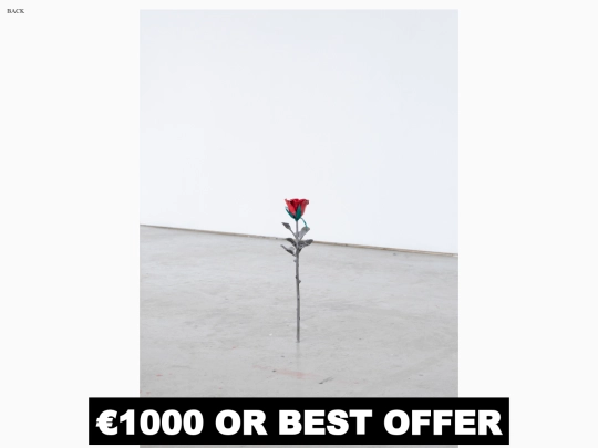 RoseMM screenshot