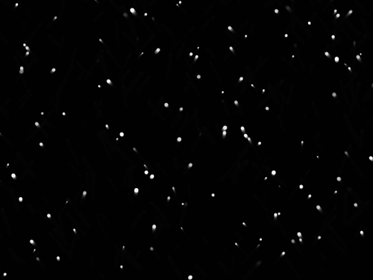 ParticleEffects/driftingblips screenshot