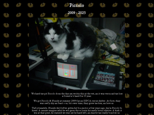 pets/piccolo screenshot