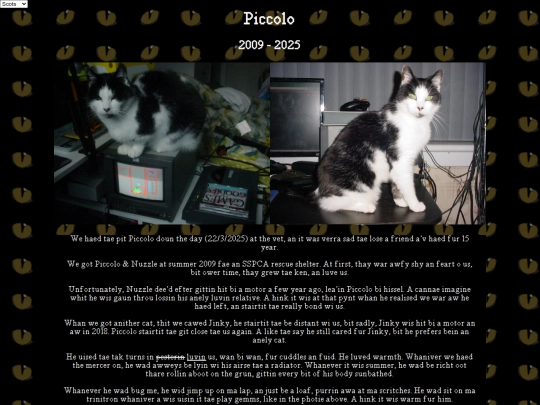 pets/piccolo screenshot