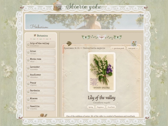 herbarium screenshot