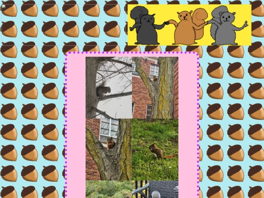 squirrels screenshot