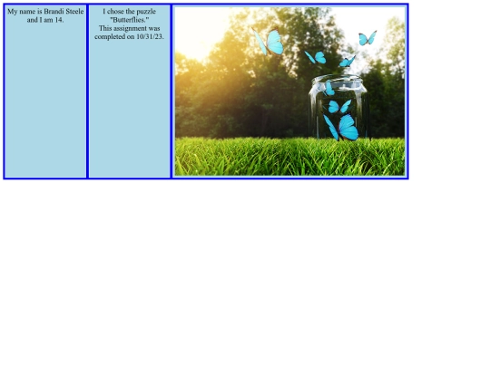 Brandi_Steele_Flexbox_CSS_Grid_Puzzle_Assignment screenshot