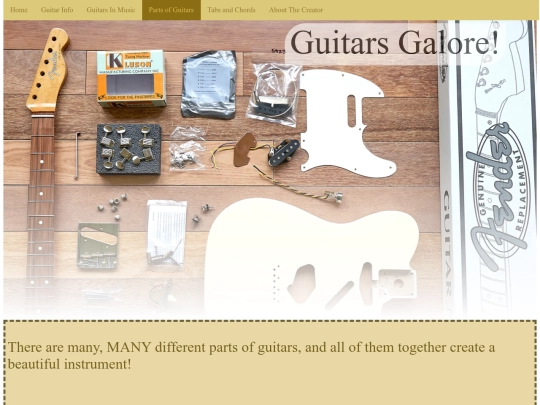 final_project/pages/partsofguitars screenshot