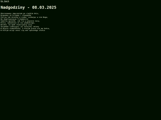 Polish/Nadgodziny screenshot