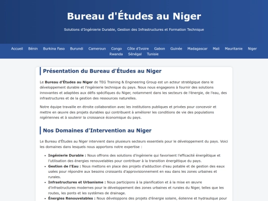 afrique/bureau-etude-niger screenshot