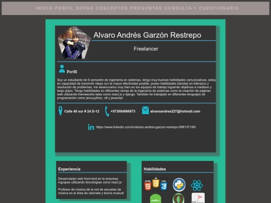 proyectos-web/profile screenshot