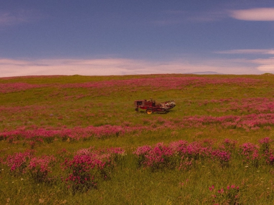 PlanetChild/Earth screenshot