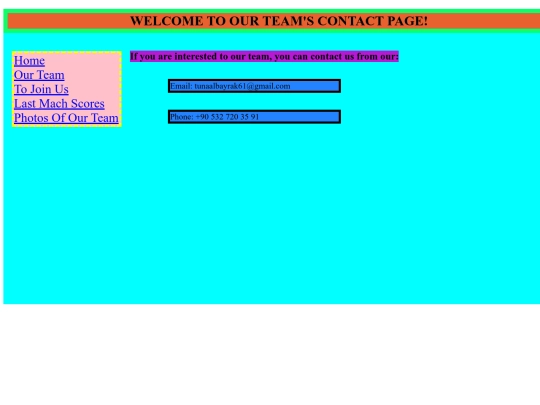 2page screenshot