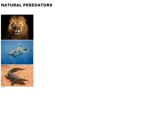Gallery screenshot