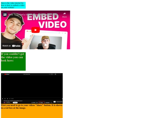 video screenshot