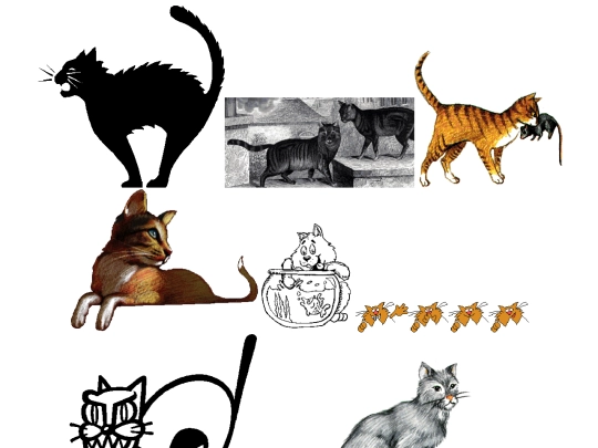 pages/cats/cats2 screenshot