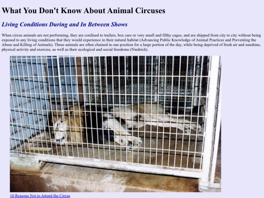 website/livingconditions screenshot