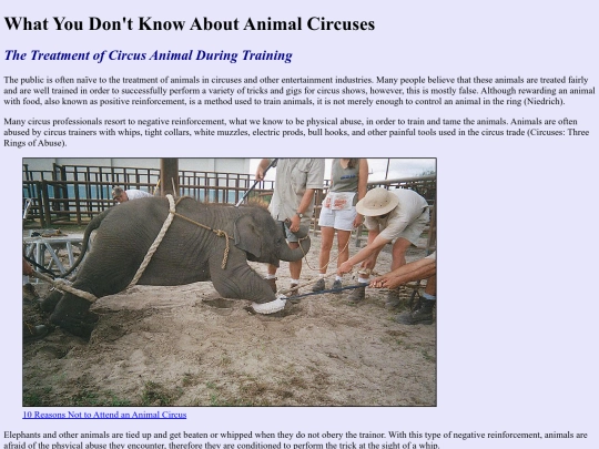 website/treatment screenshot