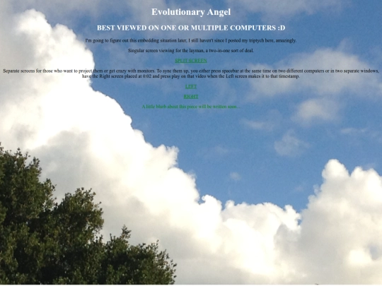 evolutionaryangelpage screenshot