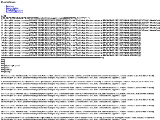 font/chomsky-demo screenshot