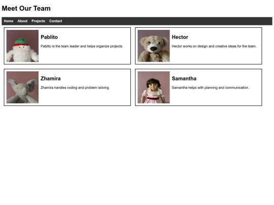 Team Page Assignment/index8 screenshot