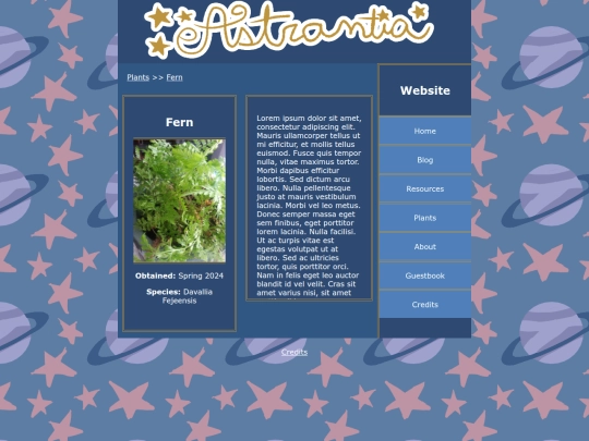 plants/fern screenshot