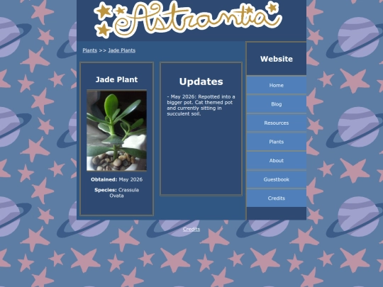 plants/jade-plant screenshot