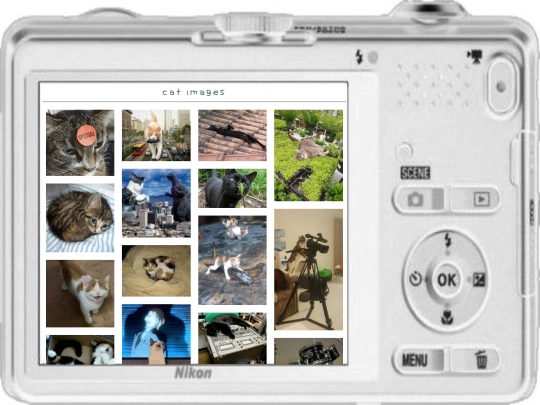 cats screenshot